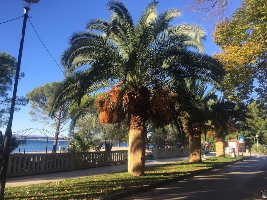 Ferienwohnung Nena In קריקווניצה מראה חיצוני תמונה